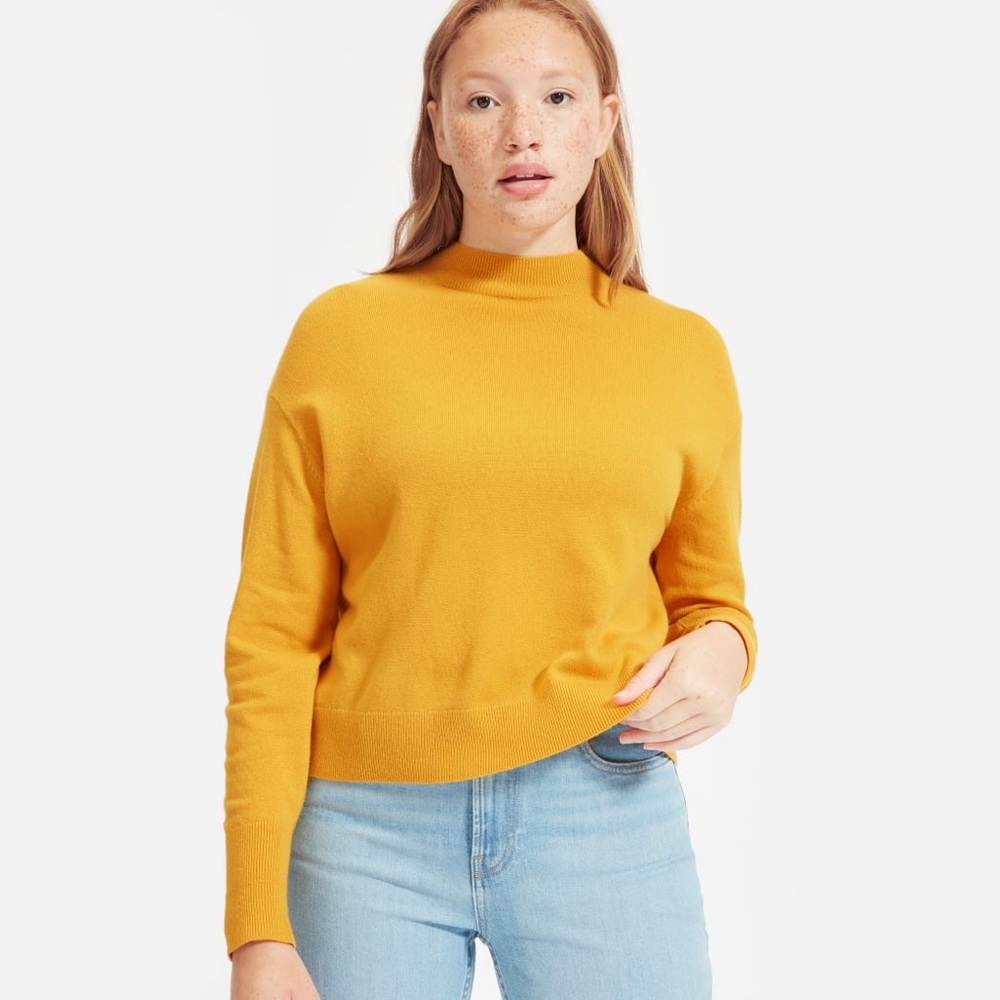 Everlane Cashmere Crop Mockneck